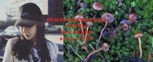 spice Володарск