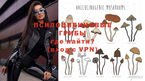 spice Володарск